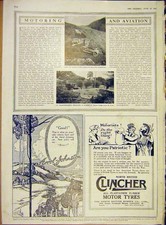 Original Old Antique Print