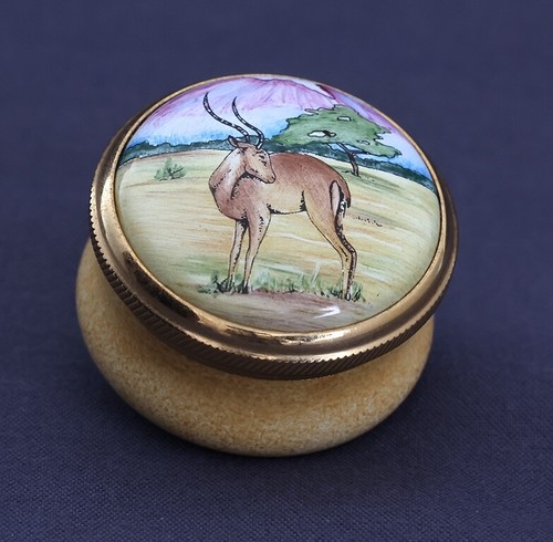 Moorcroft antelope - moorcroft,
