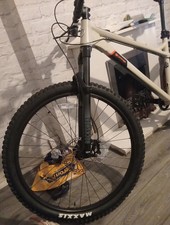 Orange Crush Model 2024 Large