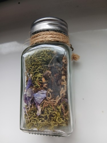 Death head moth - head, jar