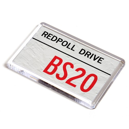 Fridge magnet redpoll drive - fridge,