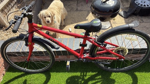 Frog red wheels - frog,