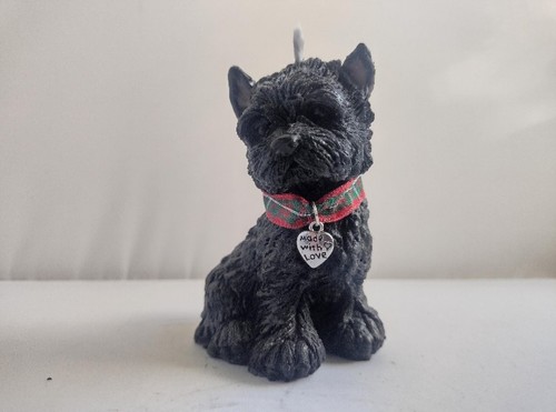 Scottie scottish terrier puppy - scottie,
