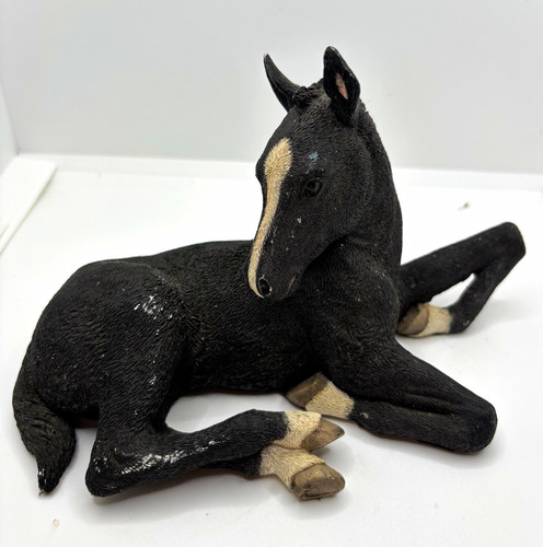Country artists 03386 foal - artists,