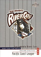 A7980- 2002 UD Minor League BB