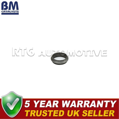 Cat converter fitting - bm,