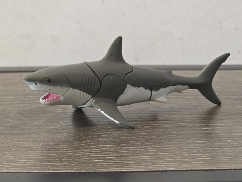 Master great white shark - 4d,