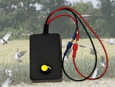 12V Random / Intermittent