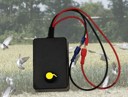 12v random intermittent - 12v,
