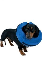 BUSTER Inflatable Collar For