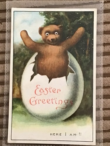 Early 1900s postcard teddy - -,