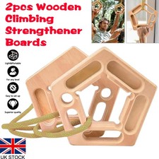 2pcs Rock Climbing Holds