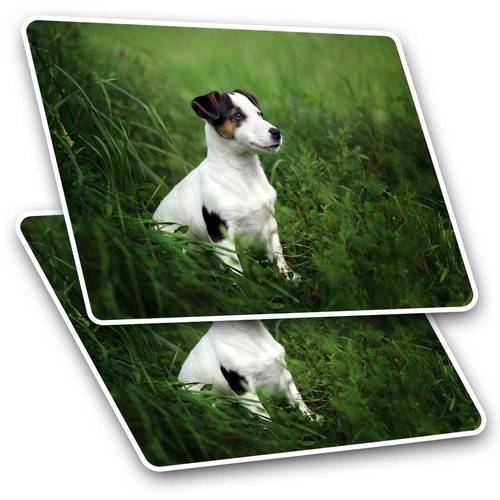 Rectangle stickers 5 - stickers, cm