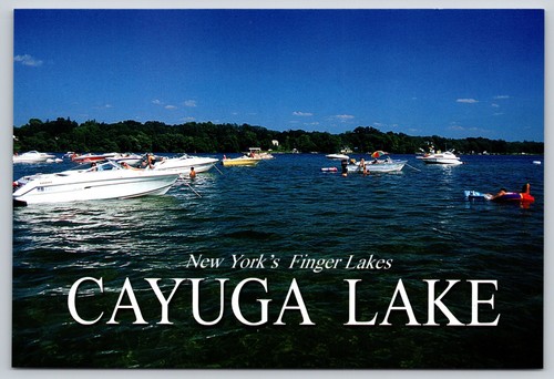 Postcard new york - new, york's