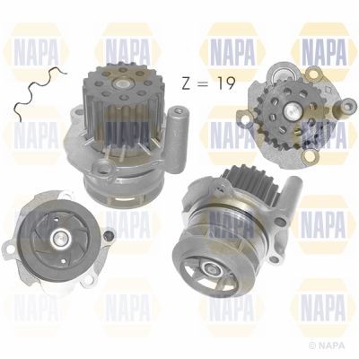Napa water pump - water, volkswagen