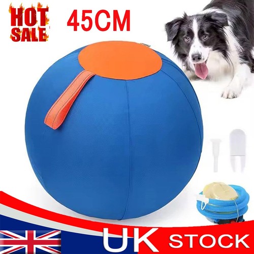 Herding ball for dogs horse - ball,