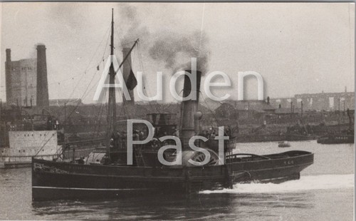 Paddle tugboat - paddle,