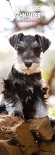 Miniature Schnauzer 2026 Slim Calendar