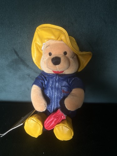 Disney raincoat winne - disney,