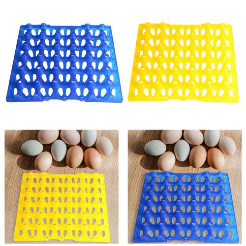 Eggs tray egg - tray, flats