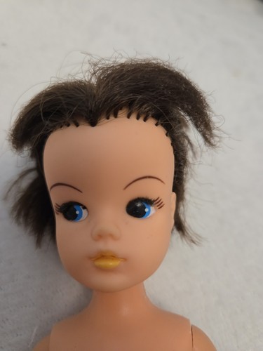 Sindy doll brunette hair - doll, has
