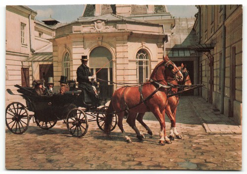 European horse carriage with - horse,