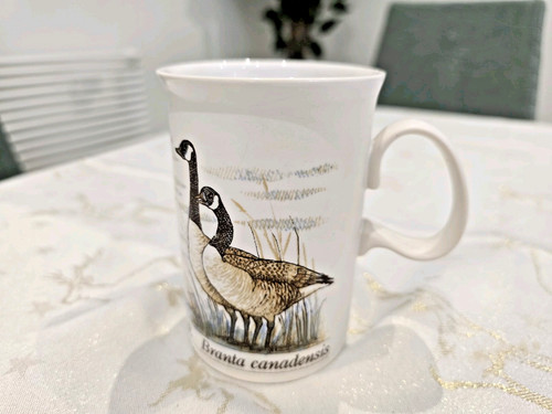 Dunoon scotland canada goose - scotland,