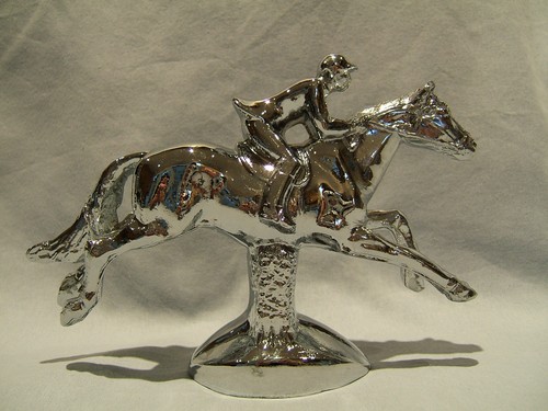 Horse and rider show jumper - horse,