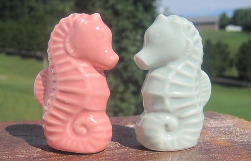 Mini seahorses salt and - salt, pepper