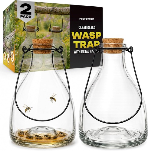 Glass wasp catcher hanging - glass,