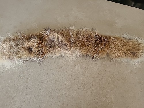 Canada goose fur - canada, trim