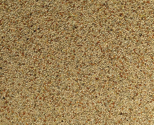 Johnston jeff 10kg - jeff,