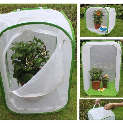 Collapsible and butterfly - ,