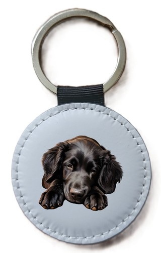Flat coated retriever - flat,