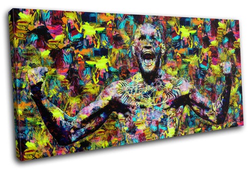 Conor mcgregor ufc - conor, mma