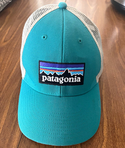 Patagonia teal beige trucker - patagonia,