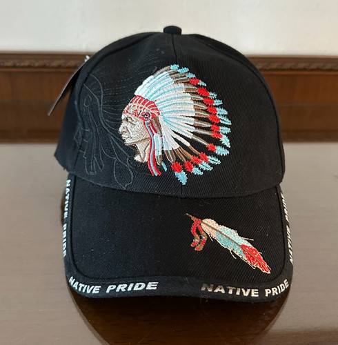 Native pride indian - native,
