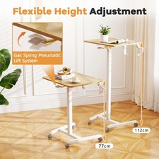 Height Adjustable Sit Stand