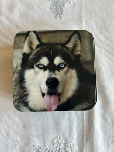 Set alaskan husky dog - 4,