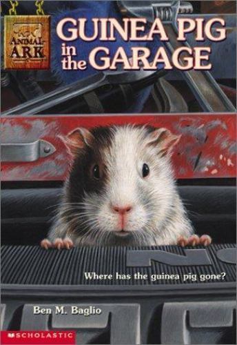 Guinea pig the garage - pig, in