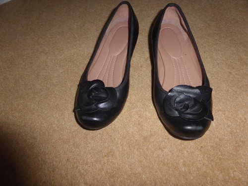 Pair hotter periwinkle - pair, of