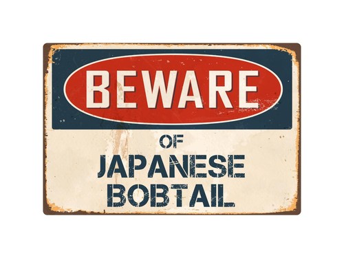 Beware japanese bobtail - beware,