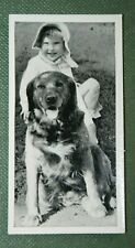 Golden Retriever  &  Child   1930's Vintage Photo Card  EE03