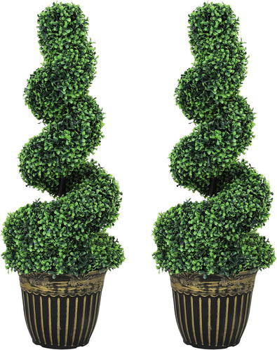 Topiary spiral boxwood - boxwood, trees