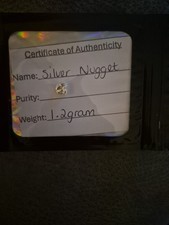 1.2g 999 Fine Silver Nugget