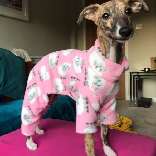 Sheep fleece dog - , pyjamas
