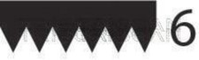 Black V-Ribbed Belt TRISCAN