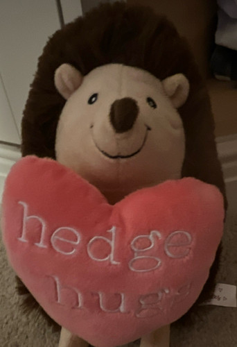 Hedgehog soft toy plush with - toy,