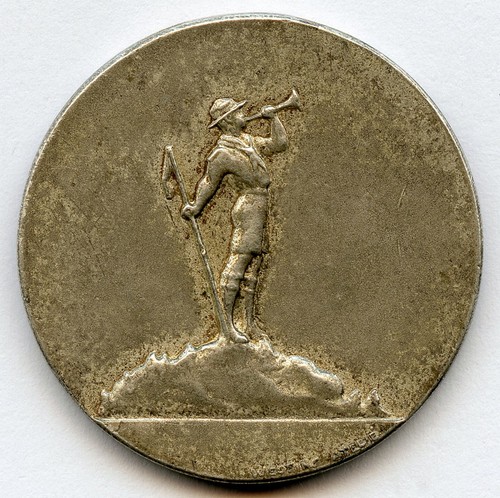 Sweden boy scout - boy, award