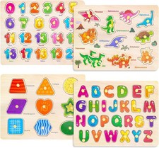 Montessori Wooden Peg Puzzles